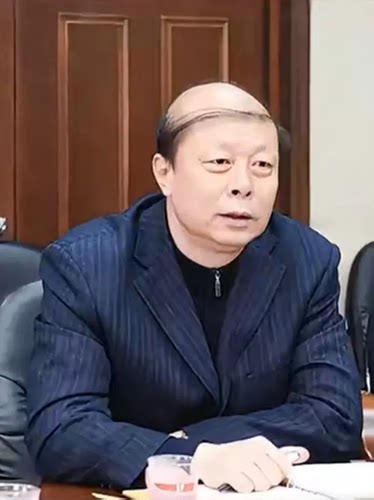 中年人最后的倔强一缕发丝同款假发套地中海秃头表演搞怪道具