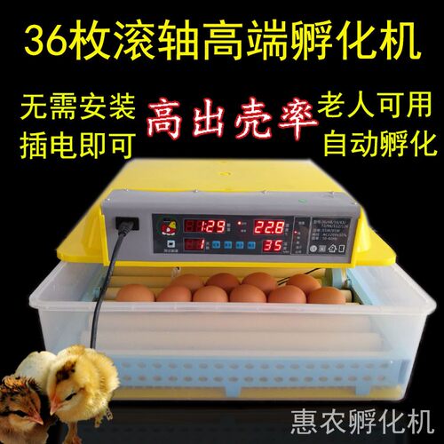 老人用孵蛋器全自动暖化小鸡机子