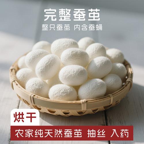 天然烘干完整带蚕蛹蚕茧
