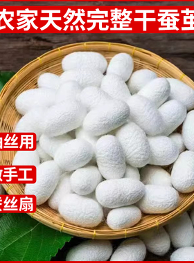 天然完整蚕茧蚕丝扇子手工diy材料包团扇制作专用白色茧子可抽丝