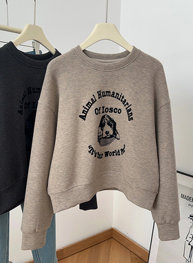 IMCC休闲风植绒小狗字母印花圆领卫衣女宽松百搭减龄套头衫上衣