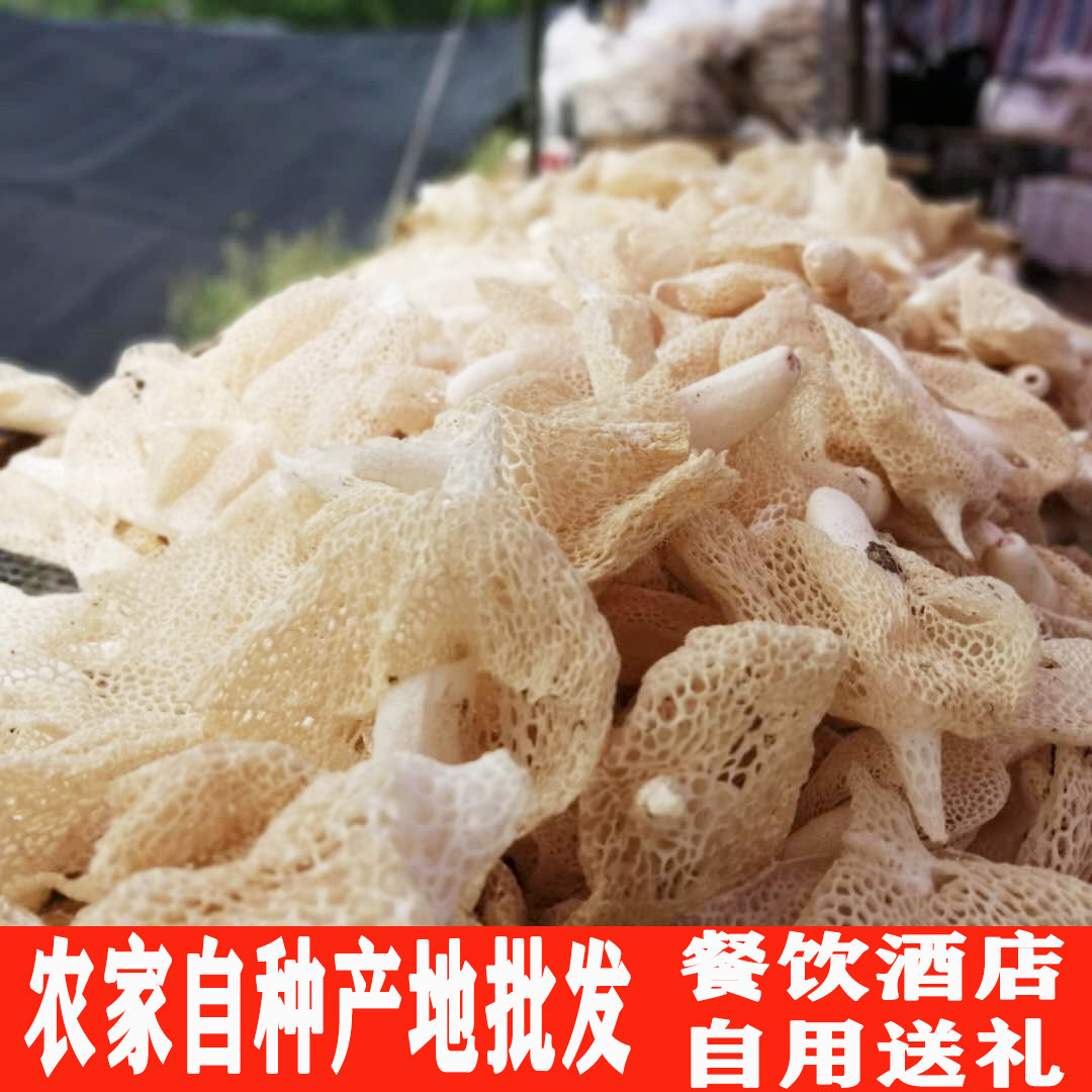 四川宜宾蜀南竹海长裙竹荪长宁竹荪500g特级干货无硫熏野生竹笙