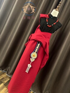 女士藏袍民族风