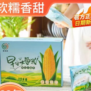 麦秀年早安大苞米宝宝版独立包装非转基因0添加官方正品新日期