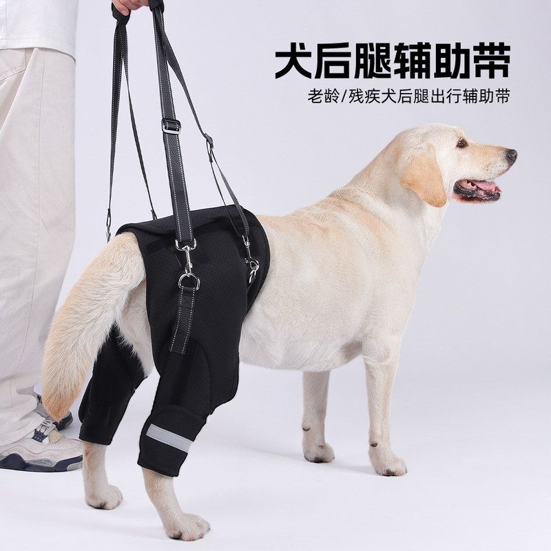 狗狗后肢牵引带狗后腿残疾上楼神器老年犬受伤康复后肢无力辅助带