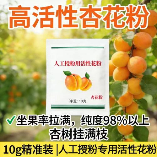 杏花粉10克授粉金太阳小白杏