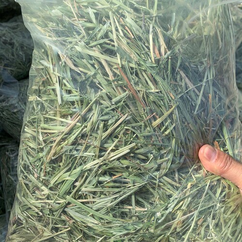 精选澳麦草澳麦干草宠物牧草归乡提兔粮兔饲料荷兰猪粮食物兔子草