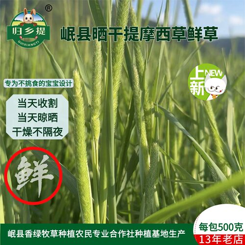 归乡提宠物主草兔兔干草饲料