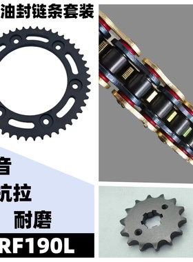 适用新大洲本田XR150战驭CRF190L SDH175-12链盘牙盘套链油封链条