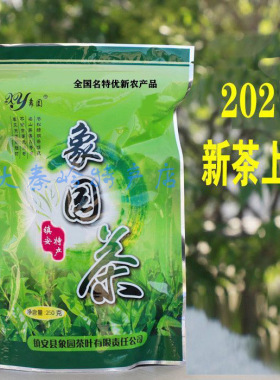 镇安象园茶 2026新茶春茶炒青 商南茶 陕南绿茶 镇安茶250g
