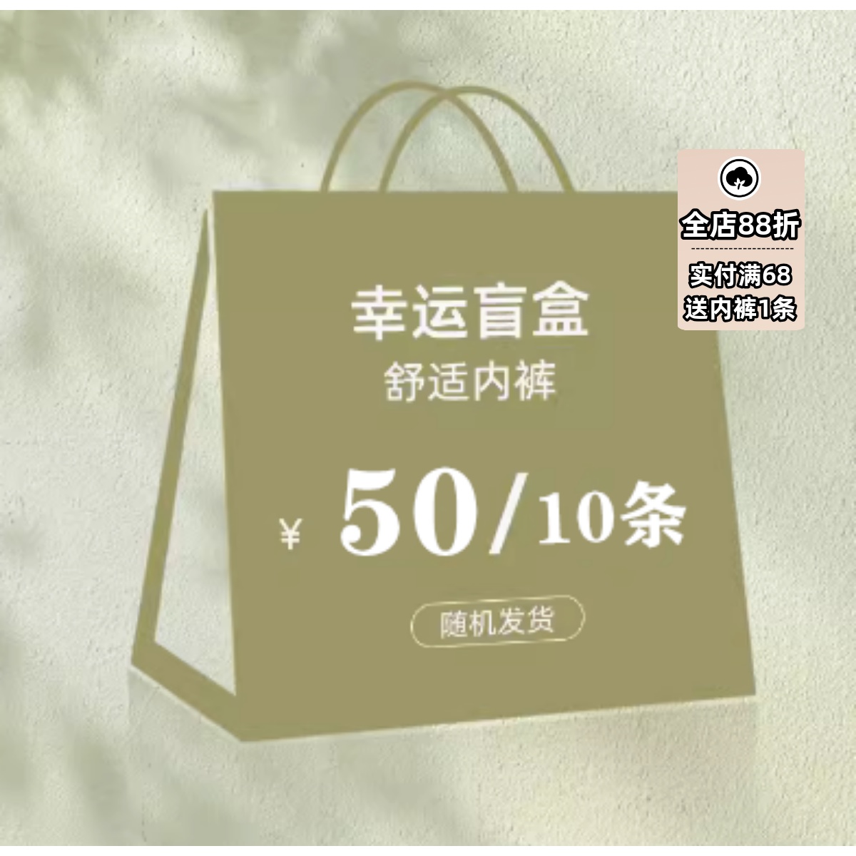 10条装纯棉冰丝蕾丝女士内裤