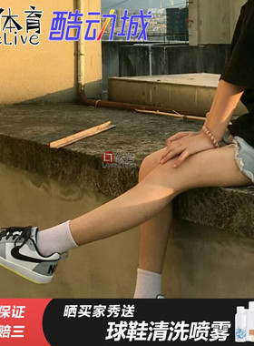 专柜正品NIKE COURT BOROUGH板鞋 839985 DQ5354 839977 844907