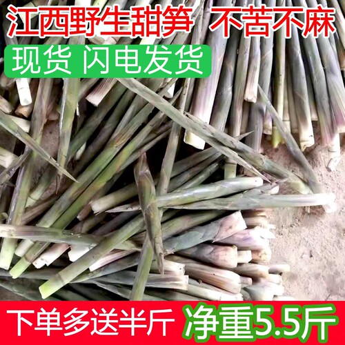 深山野生甜笋现挖小竹笋