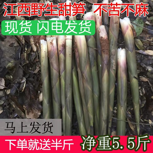 江西新鲜小竹笋野生春笋现挖笋应季带壳甜笋小笋嫩尖水竹笋山竹笋 - 封面