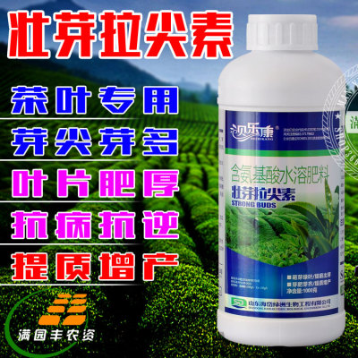 茶叶肥料专用壮芽拉尖催芽增厚