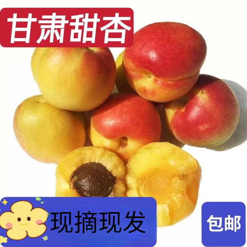 甘肃甜杏新鲜水果张公园