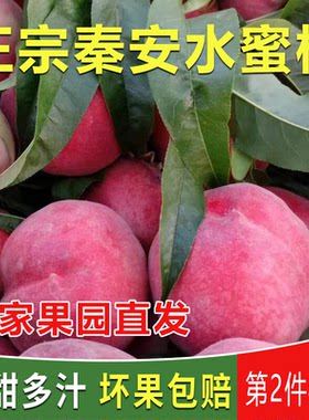 秦安水蜜桃脆甜多汁包邮新鲜