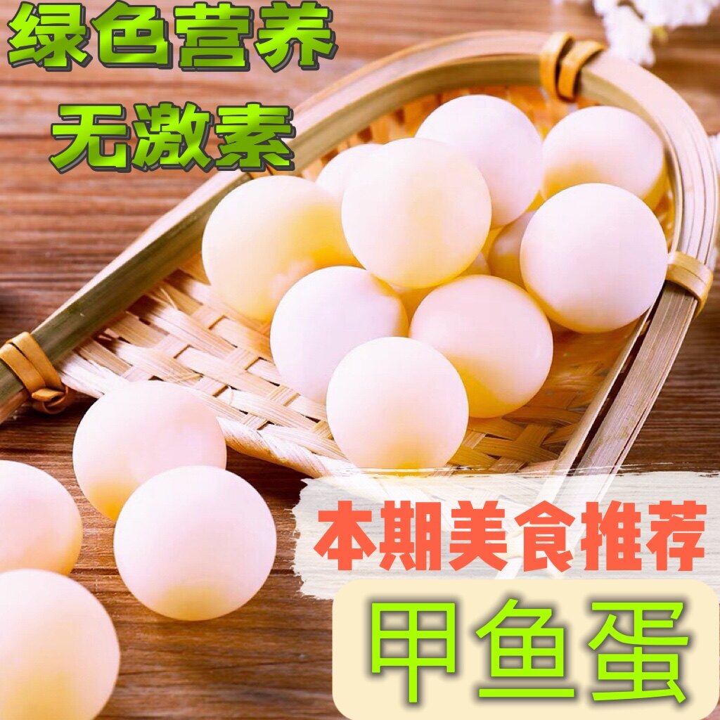 120枚新鲜原生态甲鱼蛋食用甲鱼蛋水鱼蛋鳖蛋王八蛋当天现挖现发