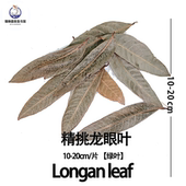 龙眼叶养龟预防腐皮红色免煮南美缸造景躲避草乌龟专用龙眼叶大片