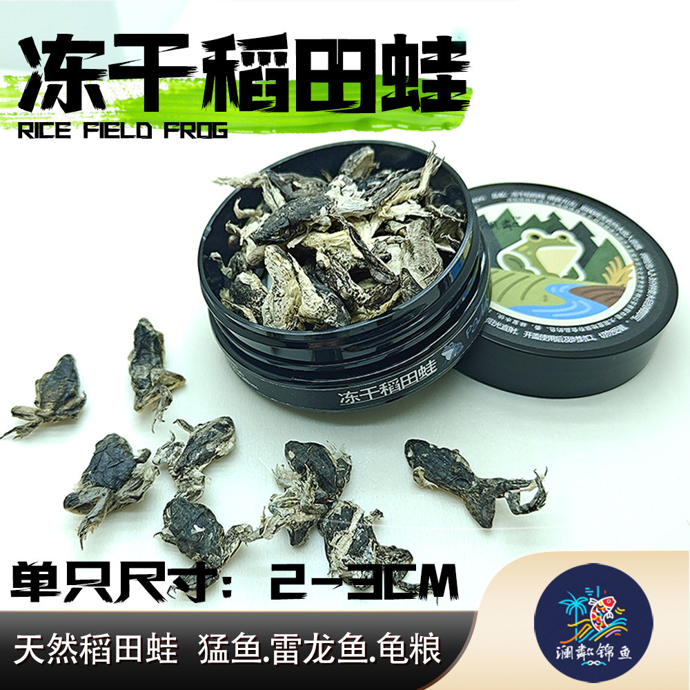 稻田蛙喂雷龙观赏鱼饲料冻干稻田小青蛙高蛋白长帆新鲜无需冷冻,宠物/宠物食品及用品,蛙,淘宝优惠券,粉丝福利购,淘宝优惠卷
