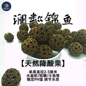 天然果实降酸果水晶虾降酸稳定PH调节水质促进发色繁殖超懒人叶