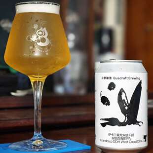 怒推 4月3产 分野酿造 伊卡兰翼龙 高密度酒花投放 西海岸双倍IPA