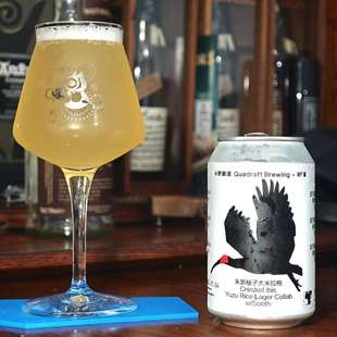 推荐！11月14产 分野酿造 朱鹮 柚子大米 拉格 精酿啤酒 黄啤酒