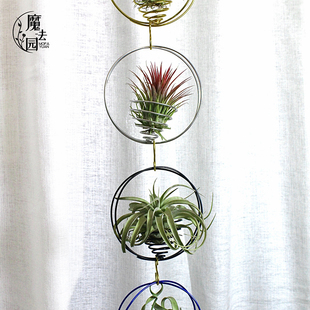 空气凤梨 圆环铝线挂架 空气草悬挂支架 Tillandsia阳台垂吊 创意