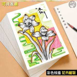 彩色线描画花卉植物静物写生原创临摹卡入门少儿创意美术画室40张