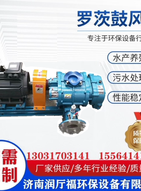 三叶罗茨鼓风机水产养殖鱼塘曝气增氧机大功率RTSR100型罗茨风机