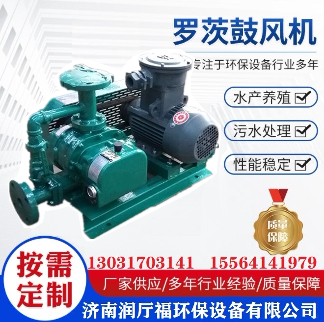 煤气沼气天然气增压泵罗茨增压泵