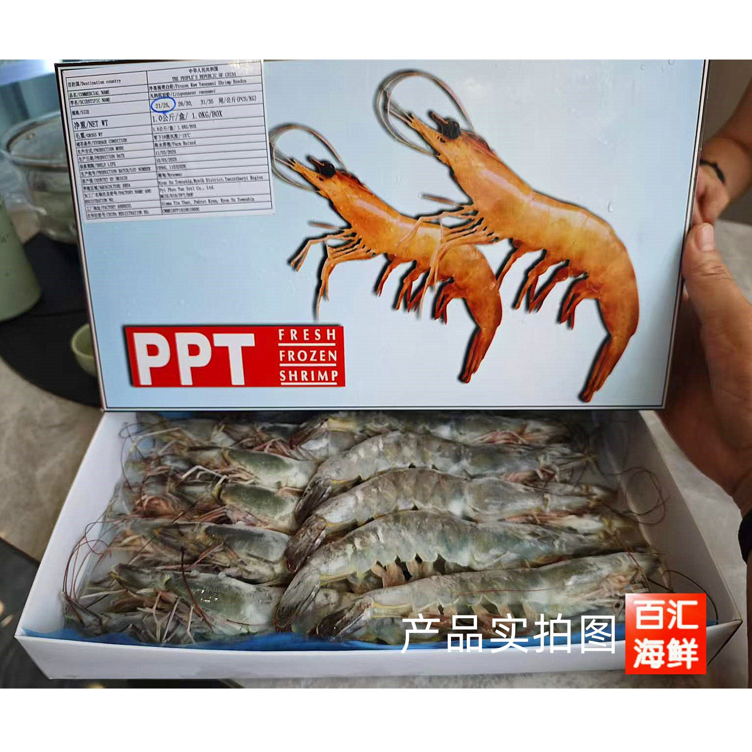 缅甸白虾1kg 海白虾白虾海虎虾白对虾新鲜海捕冷冻西餐寿司烧烤