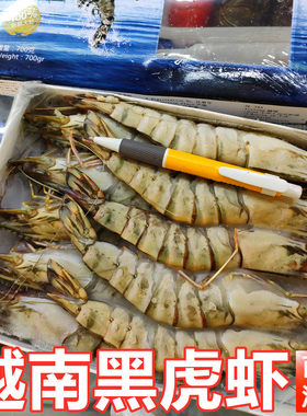 生冻虎虾露营烤烤香煎铁板