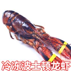 【冷冻波士顿龙虾】(1斤~3斤)非活虾生冻加拿大龙虾波龙烧烤铁板