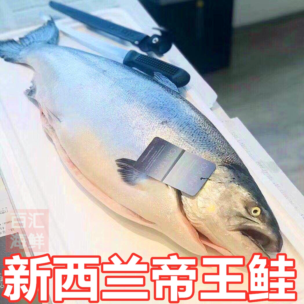 新西兰帝王鲑整条售预订发货图片