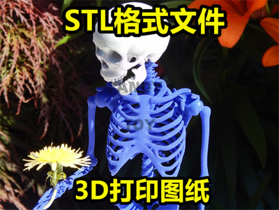 3d打印图纸关节活动骨头骷髅骨架微缩场景stl格式文件数据模型49