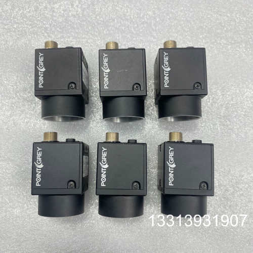 FL2-14S3M-C 灰点工业相机 成色95新 功能包好议价也可维修