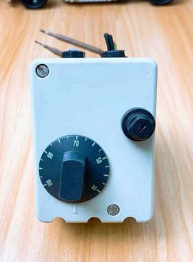 JUMO 久茂温度传感器 AMH-1-80 TN600030议价也可维修