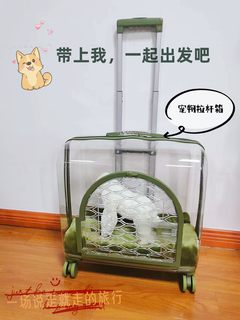 宠物太空舱拉杆箱猫包外出便携猫咪行李箱透明大号狗狗手提携带箱