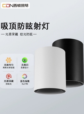 西顿照明射灯明装免开孔防眩光客厅家用天花灯吸顶射灯CEX9102C