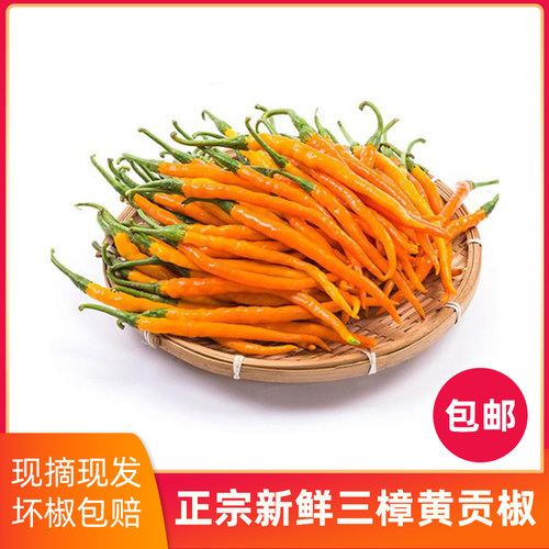 湖南衡东三樟鲜辣椒黄贡椒原产地直供新鲜现摘现发2/3/4/5斤包邮