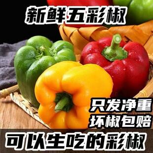 新鲜水果七彩椒甜椒香辣五彩圆红青辣椒黄椒生吃蔬菜沙拉