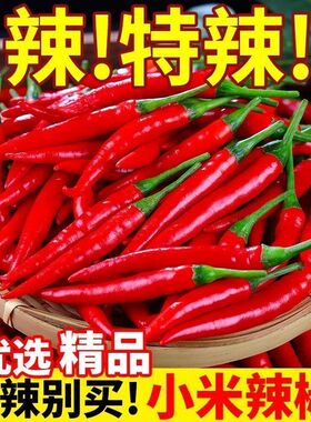 新鲜小米辣椒红辣椒指天椒特辣尖泡椒农家自种蔬菜