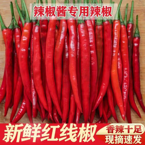 湖南红辣椒红线椒红海椒辣香辣农家自种蔬菜长小米辣椒现摘现发