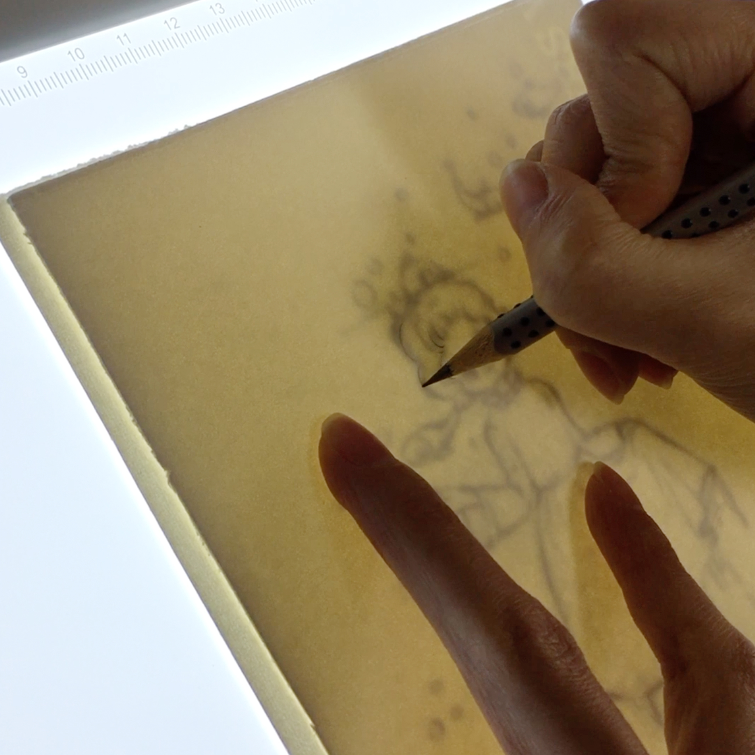 熊貓定制led拷貝繪畫透寫拓印