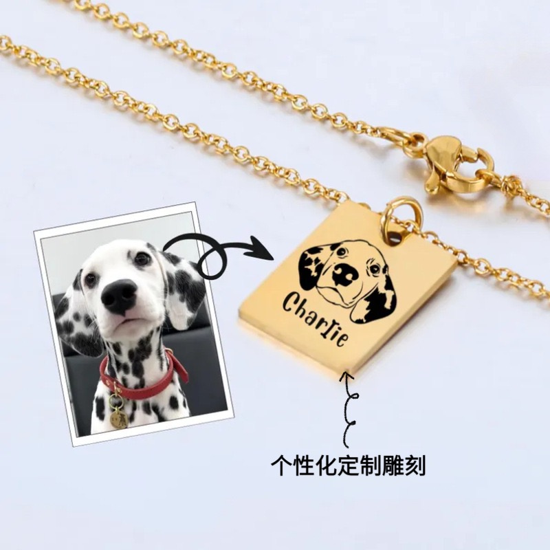 宠物纪念吊坠雕刻定制照片项链猫咪狗狗仓鼠离世留念创意挂饰饰品