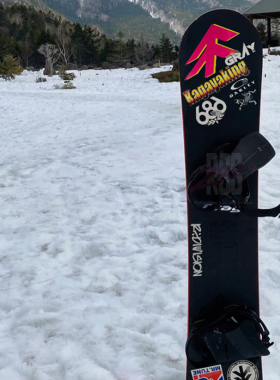 适用于日本小树滑雪板单板刻滑板贴纸套装防水防晒反光装饰贴