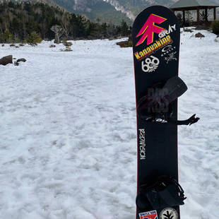 适用于日本小树滑雪板单板刻滑板贴纸套装防水防晒反光装饰贴