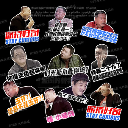 范德彪马大帅彪学研究会支棱起来划痕遮盖遮挡创意搞笑贴