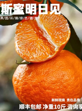 明日见柑橘-甘平已经下架柑橘皇后四川眉山高端水果当季新鲜橘子